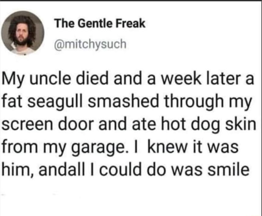 The Gentle Freak mitchysuch My uncle died and a week later a fat seagull smashed through my screen door and ate hot dog skin from my garage knew it was him andall could do was smile