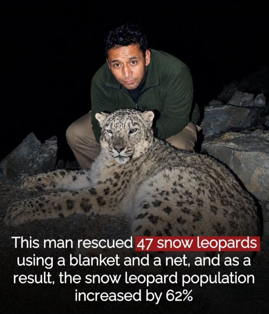 This man rescued 47 snow leopards using a blanket and a net, and as a result, the snow leopard population increased by 62%
