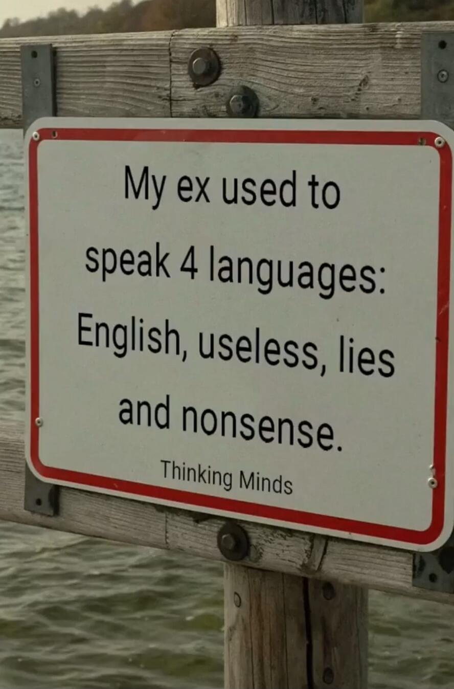 My ex used to speak 4 languages: English, useless, lies and nonsense. Thinking Minds