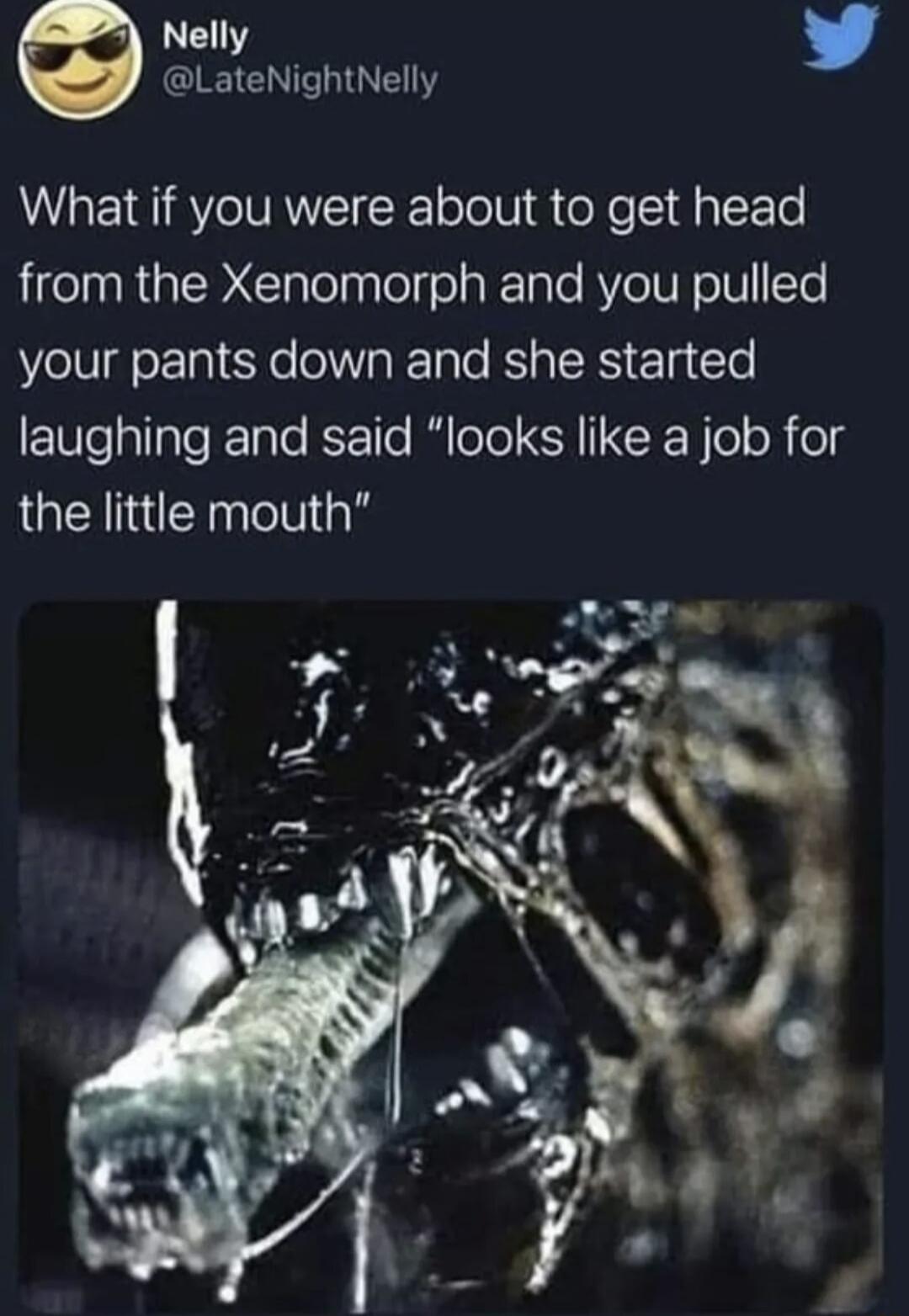 Nelly LateNightNelly What if you were about to get head from the Xenomorph and you pulled your pants down and she started Eeallale I Tale KSETle R ol EX loloR o3 the little mouth
