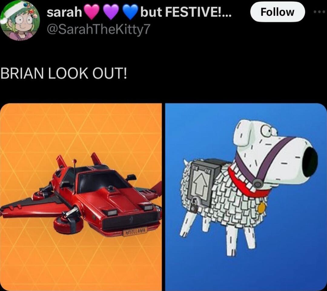 6 sarah 9 W but FESTIVEL SarahTheKitty7 P o BRIAN LOOK OUT