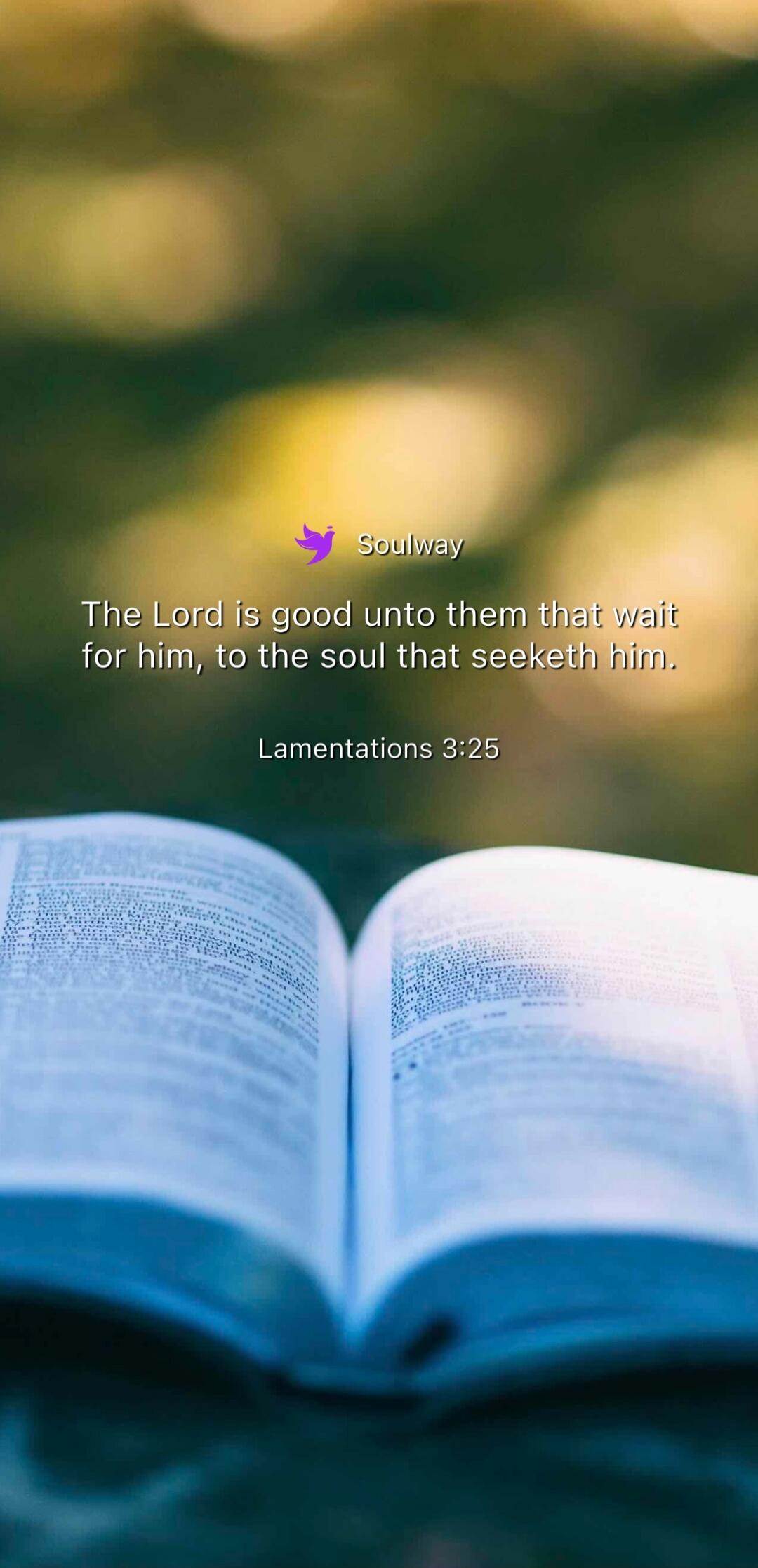 Soulway The Lord is good unto them that wait for him, to the soul that seeketh him. Lamentations 3:25