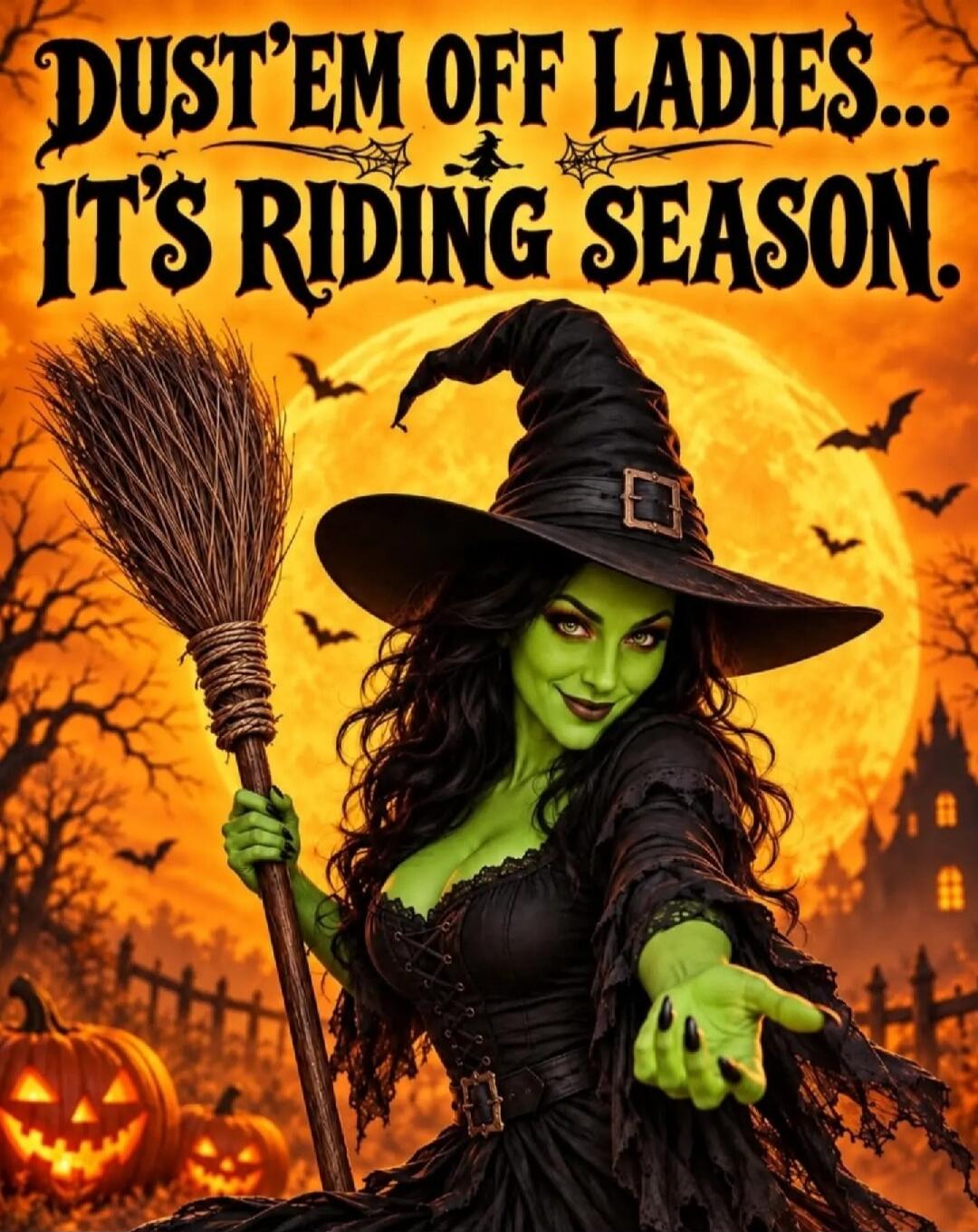 DUST'EM OFF LADIES... IT'S RIDING SEASON.