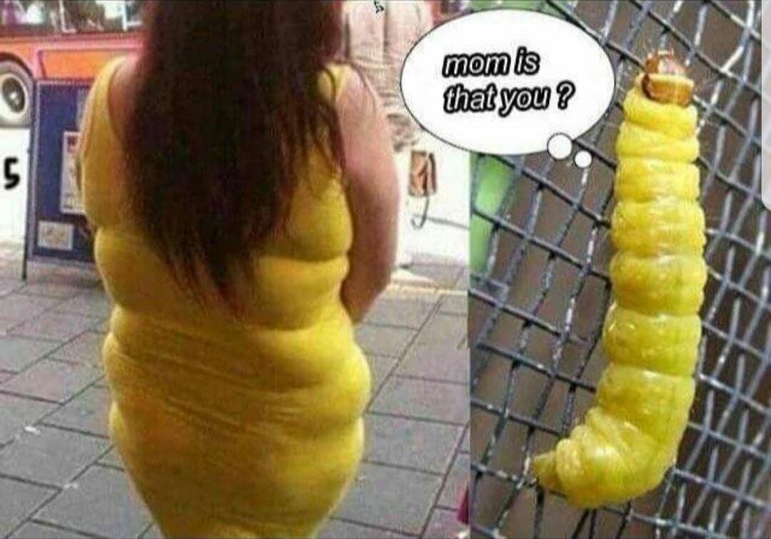 mom is that you ?