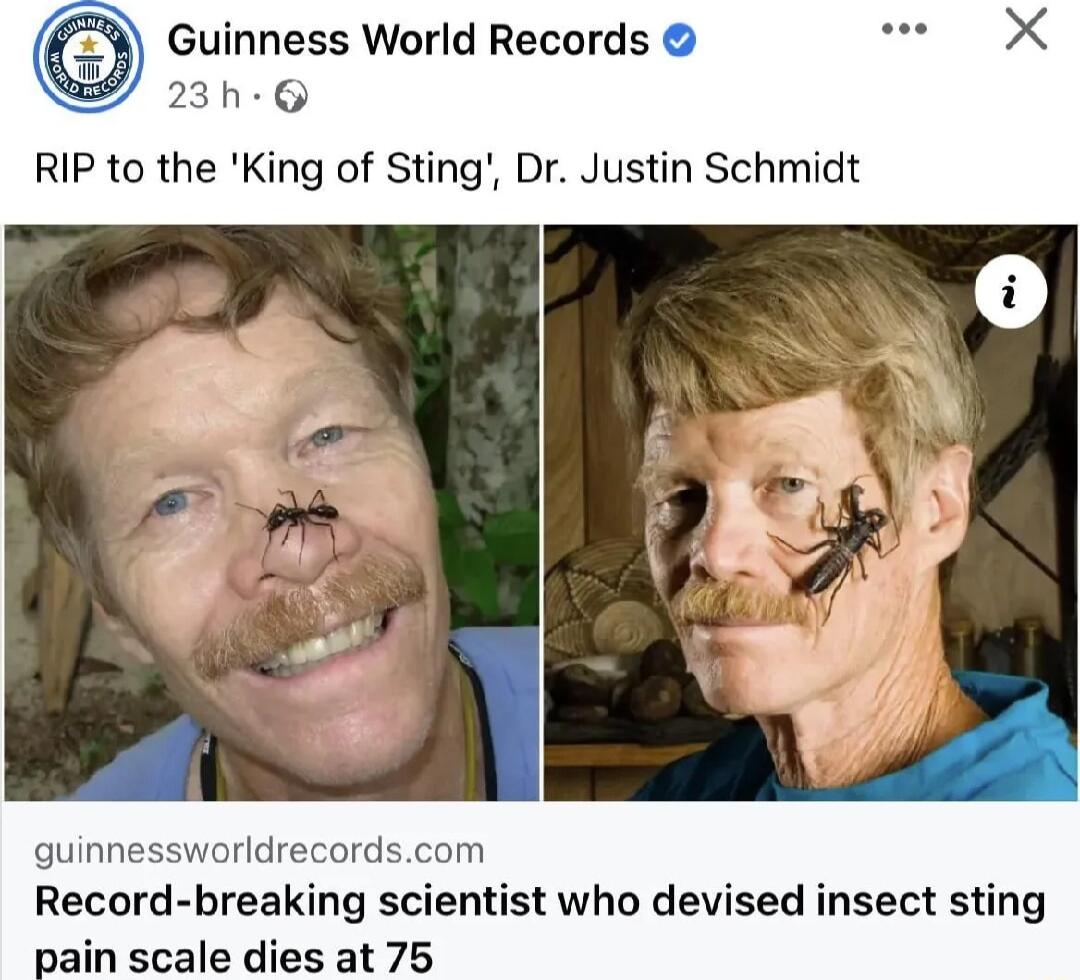 Guinness World Records s X 23h RIP to the King of Sting Dr Justin Schmidt guinnessworldrecordscom Record breaking scientist who devised insect sting ain scale dies at 75 _painscalediesats