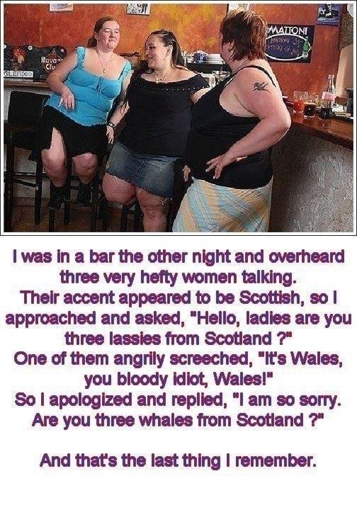 was in a bar the other night and overheard three very hefty women talking Their accent appeared to be Scottish so approached and asked Hello ladies are you three lassies from Scotland One of them angrily screeched Its Wales you bloody idiot Wales So apologized and replied l am so sorry Are you three whales from Scotiand And thats the last thing remember