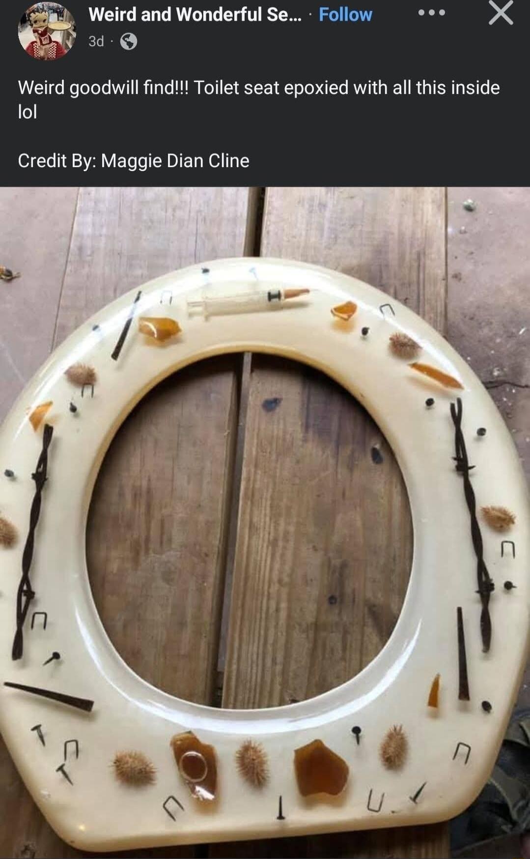 Weird and Wonderful Se Py Weird goodwill find Toilet seat epoxied with all this inside lol Credit By Maggie Dian Cline