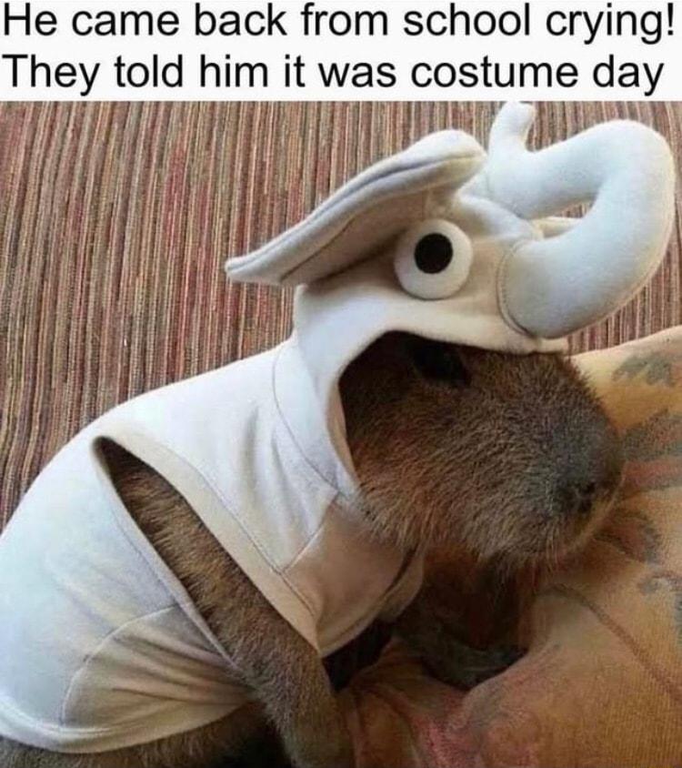 He came back from school crying They told hm it was costume day