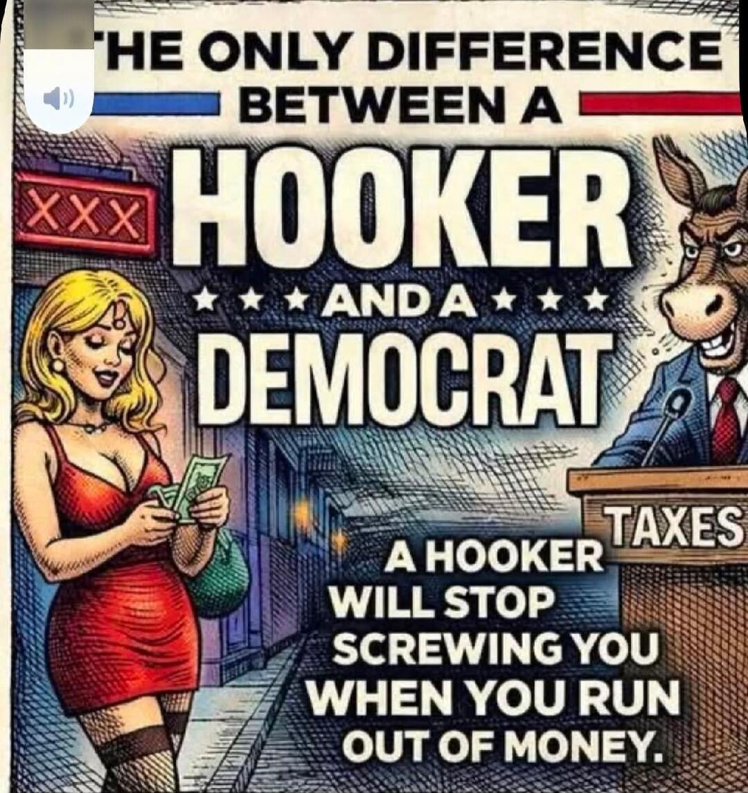 THE ONLY DIFFERENCE BETWEEN A HOOKER AND A DEMOCRAT. A HOOKER WILL STOP SCREWING YOU WHEN YOU RUN OUT OF MONEY. TAXES.
