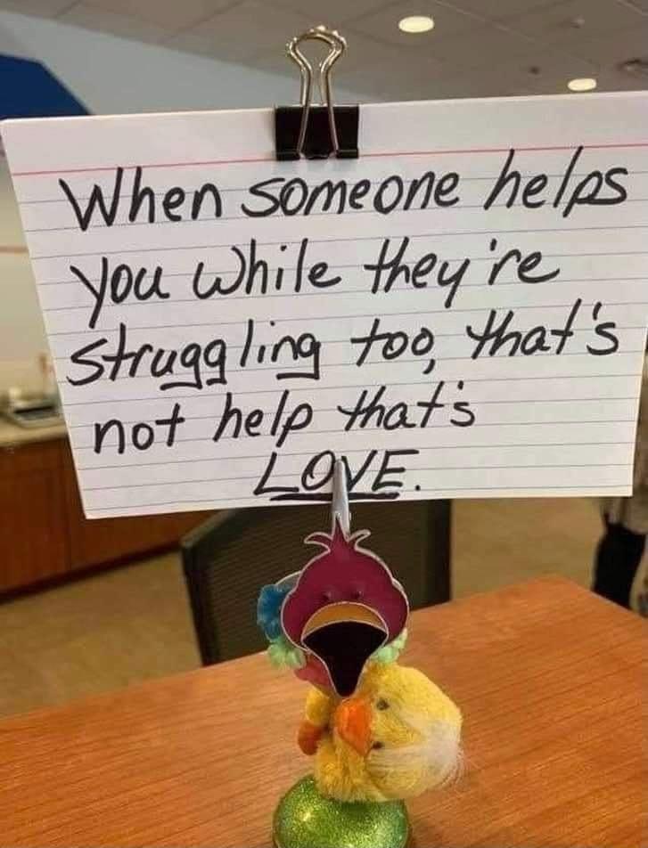 Nou While hey re Shrugq lica 700 ot not 7940 Hats Ve