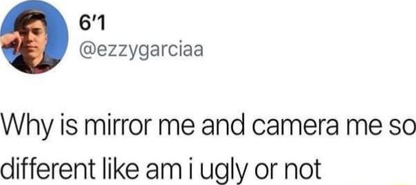 6 ezzygarciaa Why is mirror me and camera me so different like am i ugly or not