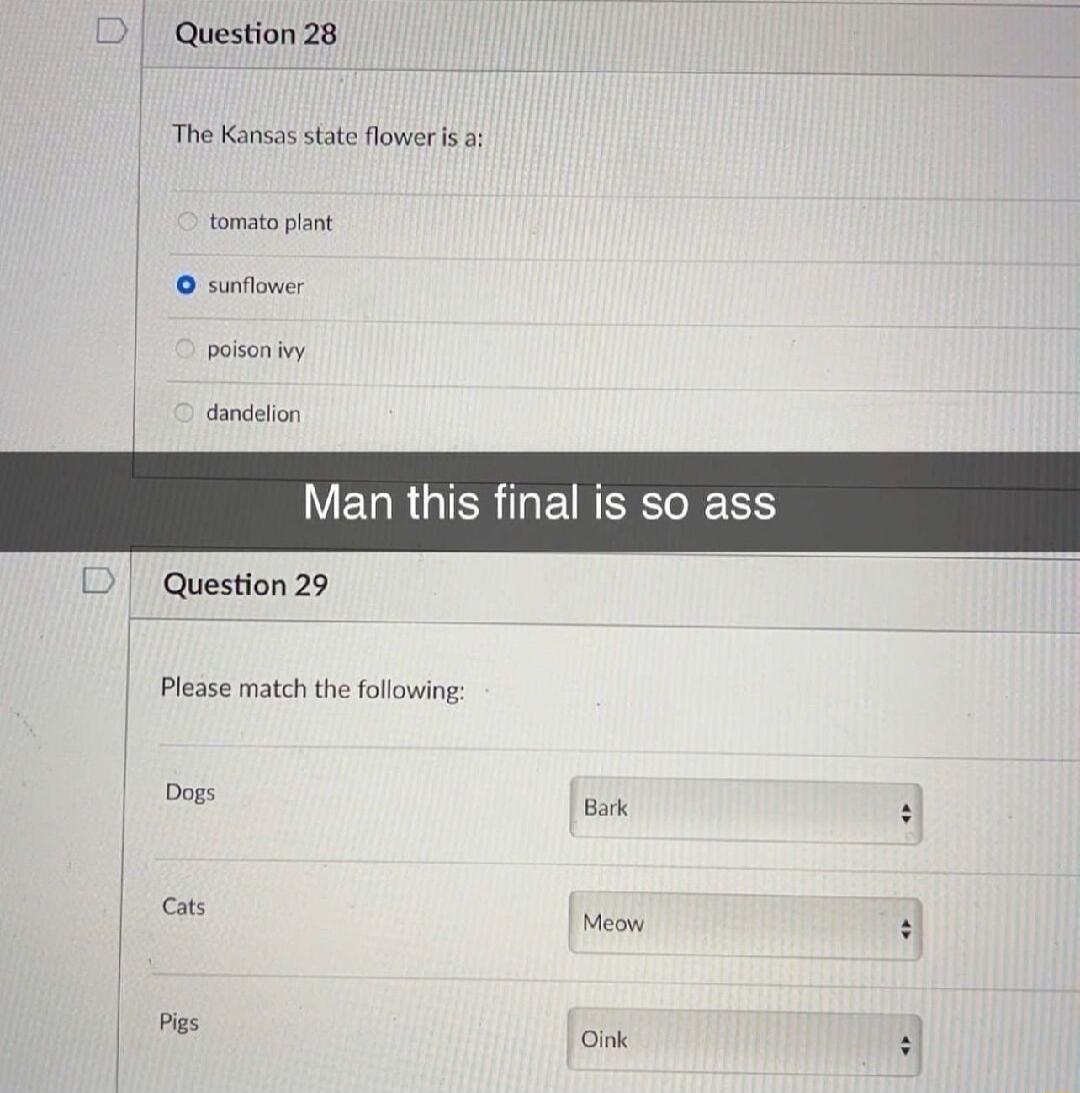 Question28 The Kansas state flowers o dandelon VEGRGISNGENEERERS Question 29 Please match the following Dogs o o frss N Pas Ok