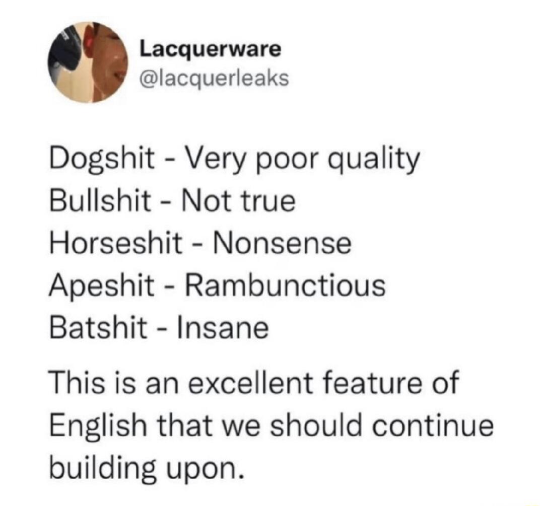 Lacquerware lacquerleaks Dogshit Very poor quality Bullshit Not true Horseshit Nonsense Apeshit Rambunctious Batshit Insane This is an excellent feature of English that we should continue building upon