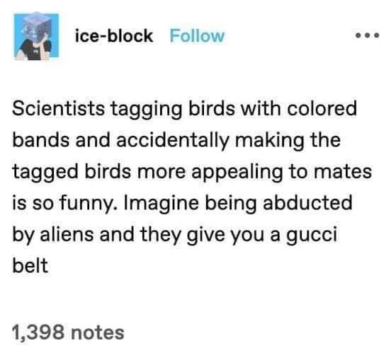 a ice block Follow eee Scientists tagging birds with colored bands and accidentally making the tagged birds more appealing to mates is so funny Imagine being abducted by aliens and they give you a gucci belt 1398 notes