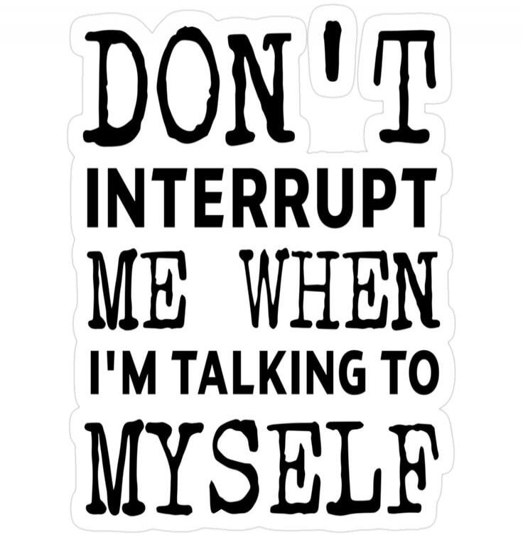 DON'T INTERRUPT ME WHEN I'M TALKING TO MYSELF
