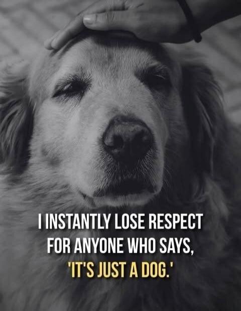 I INSTANTLY LOSE RESPECT FOR ANYONE WHO SAYS, 'IT'S JUST A DOG.'