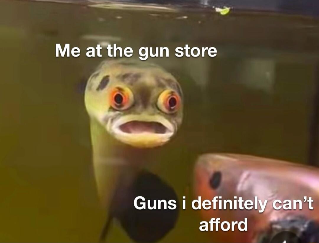 e R Me atthe gun store