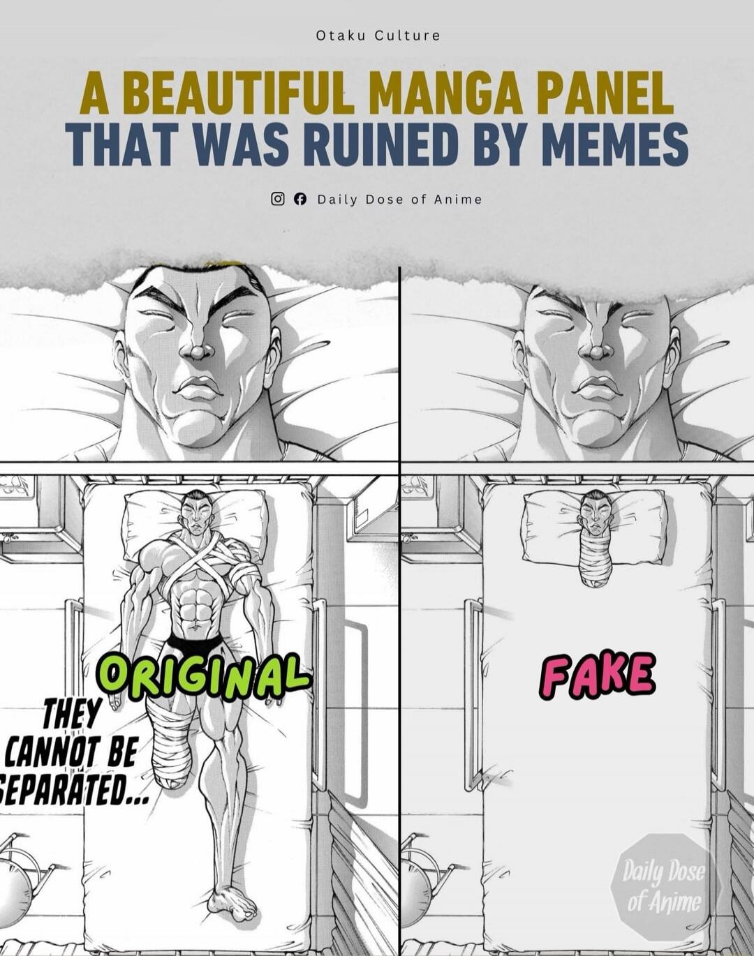 A BEAUTIFUL MANGA PANEL THAT WAS RUINED BY MEMES
OTAKU CULTURE
Daily Dose of Anime
ORIGINAL
THEY CANNOT BE SEPARATED...
FAKE