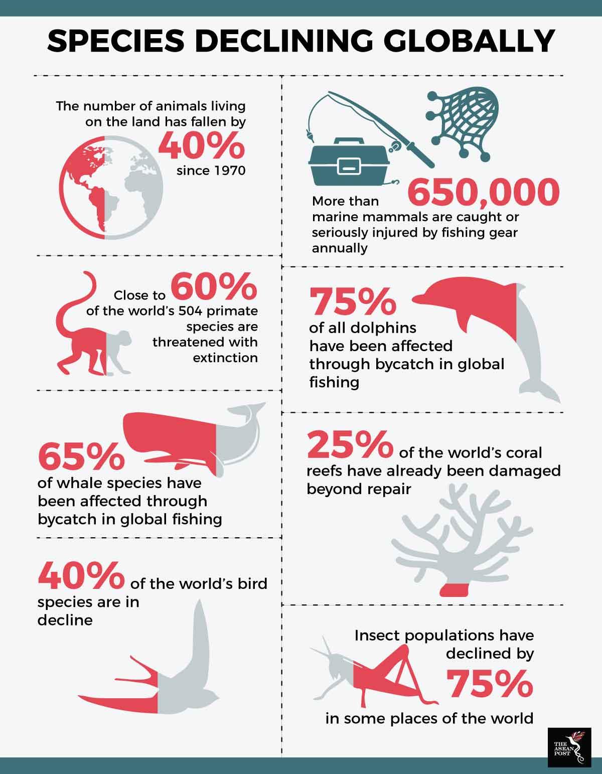 SPECIES DECLINING GLOBALLY The number of animals living on the land has fallen by 40 1 1 1 1 1 1 1 since 1970 1 1 1 1 1 1 ciose 10 00 Y0 1 1 1 of the worlds 504 primate species are threatened with extinction 1 1 of whale species have been affected through bycatch in global fishing 40 of the worlds bird E 65 I species are in v decline 2 l n e 650000 marine mammals are caught or seriously injured by