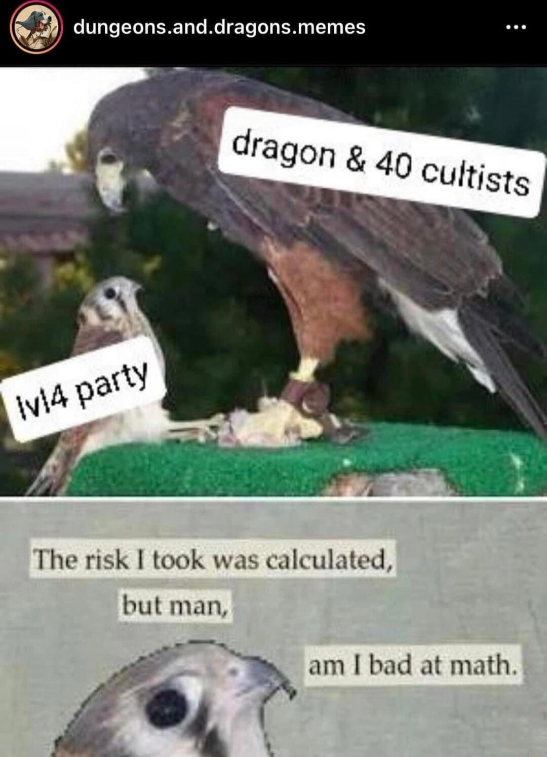 dungeonsanddragonsmemes The risk I took was calculated but man e at math