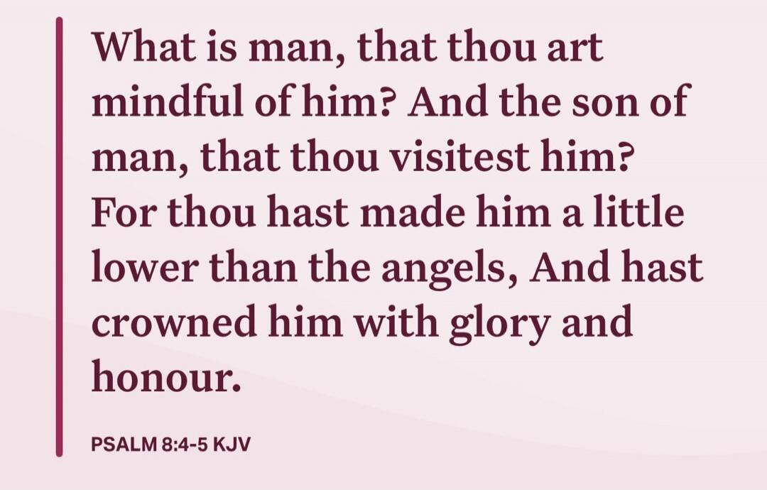 What is man, that thou art mindful of him? And the son of man, that thou visitest him? For thou hast made him a little lower than the angels, And hast crowned him with glory and honour. PSALM 8:4-5 KJV