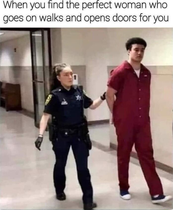 When you find the perfect woman who goes on walks and opens doors for you