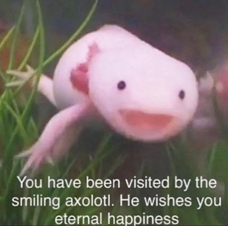 A IV VN o T RV Yo oA 3 Y Sl gTe V el o M RV I TEER Vo0 eternal happiness