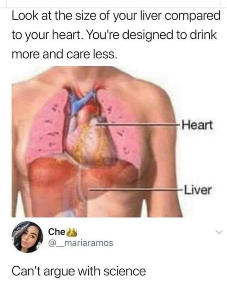 Look at the size of your liver compared to your heart Youre designed to drink more and care less Chedd v __mariaramos Cant argue with science