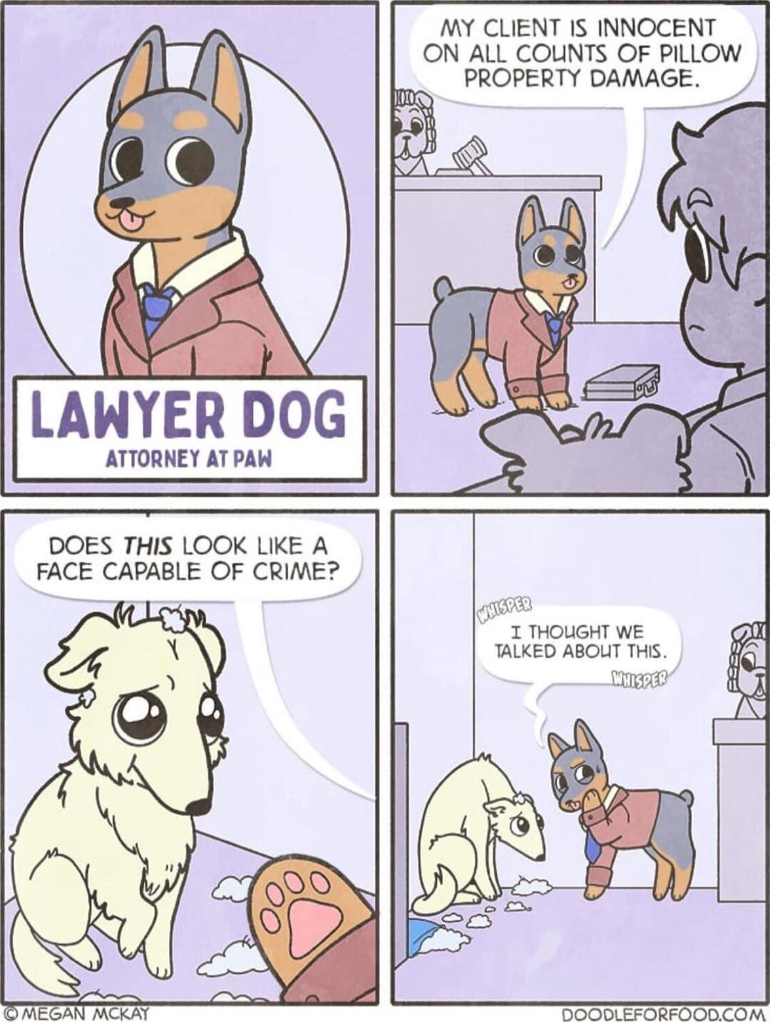 MY CLIENT IS INNOCENT ON ALL COLINTS OF PILLOW PROPERTY DAMAGE LAWYER DOG ATTORNEY AT PAW DOES THIS LOOK LIKE A FACE CAPABLE OF CRIME I THOUGHT WE TALKED ABOUT THS i e