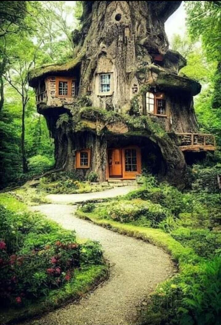 Tree house built inside a large tree with wooden doors and windows, surrounded by lush greenery.