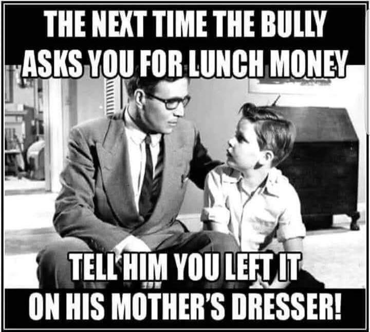 THE NEXT TIME THE BULLY ASKS YOU FOR LUNCH MONEY TELL HIM YOU LEFT IT ON HIS MOTHER'S DRESSER!