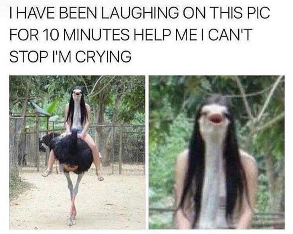 HAVE BEEN LAUGHING ON THIS PIC FOR 10 MINUTES HELP ME CANT STOPIM CRYING