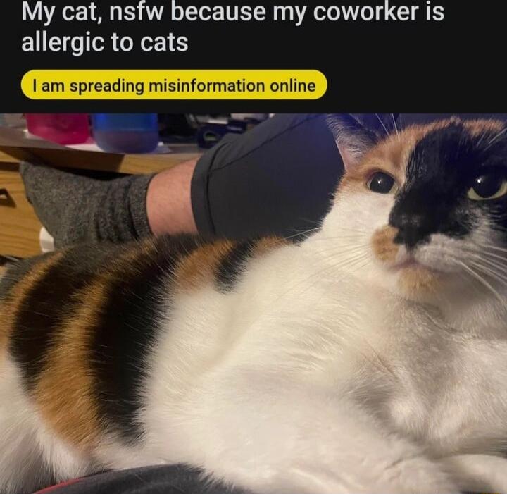 My cat nstw because my coworker is allergic to cats