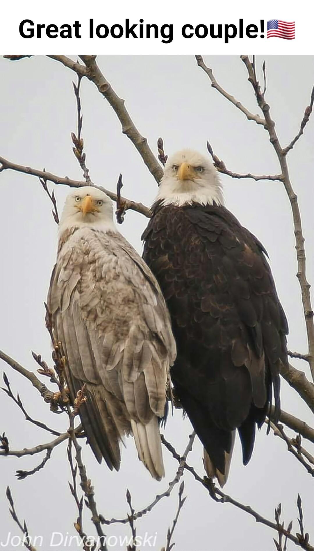 Great looking coupleZ