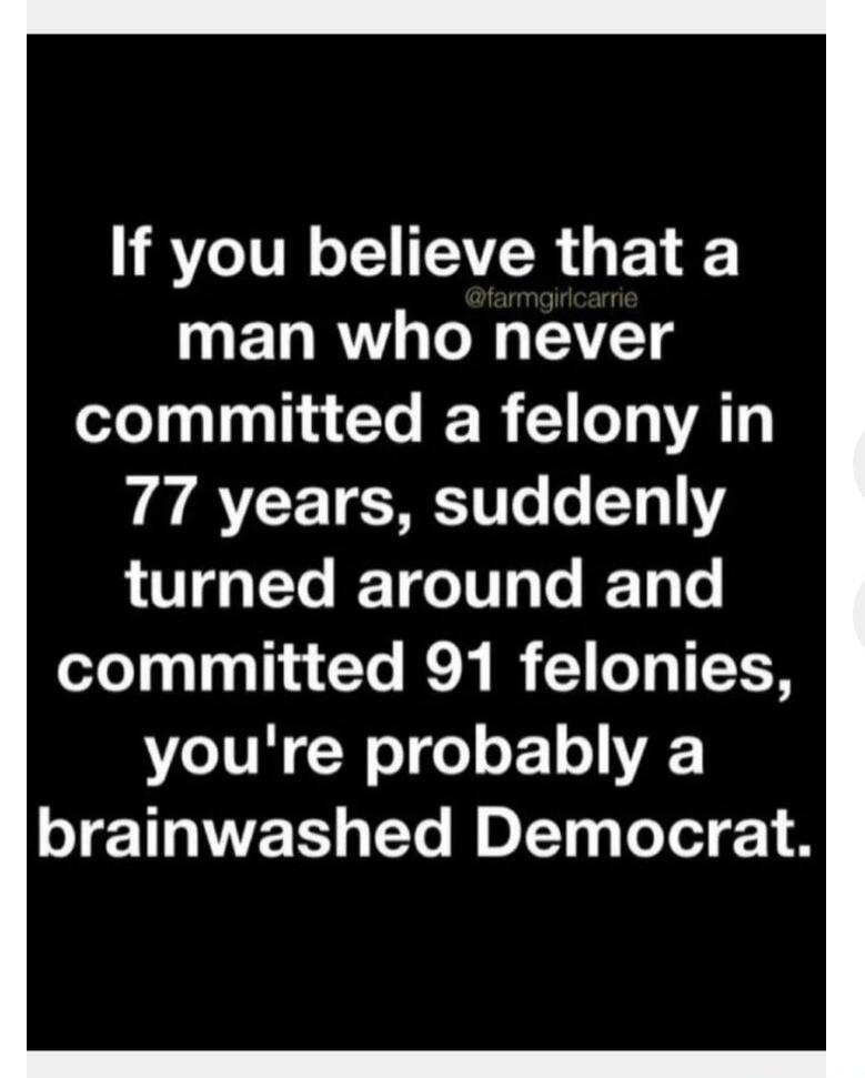 If you believe that a man who never committed a felony in 77 years, suddenly turned around and committed 91 felonies, you're probably a brainwashed Democrat.
