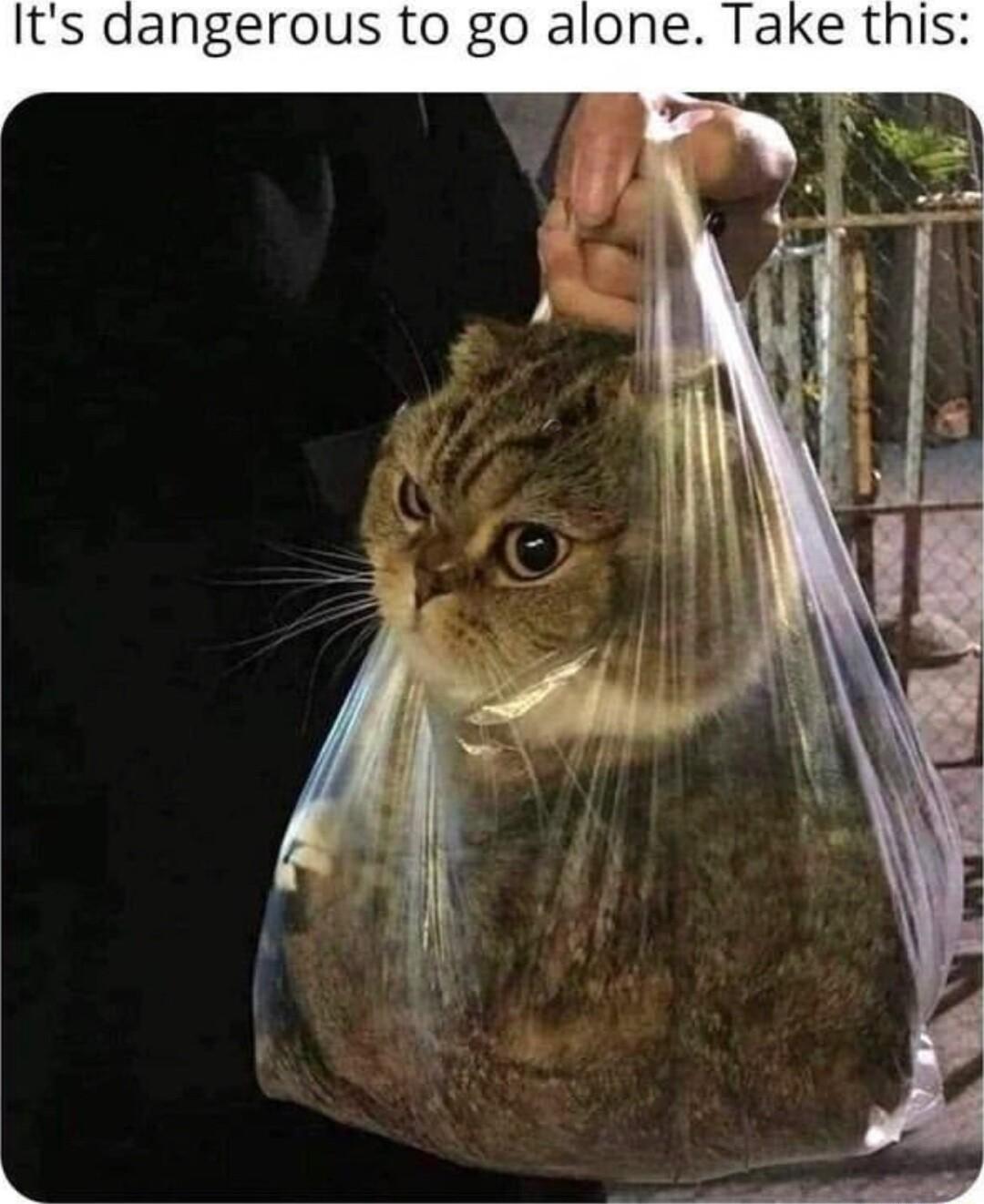 Its dangerous to go alone Take this