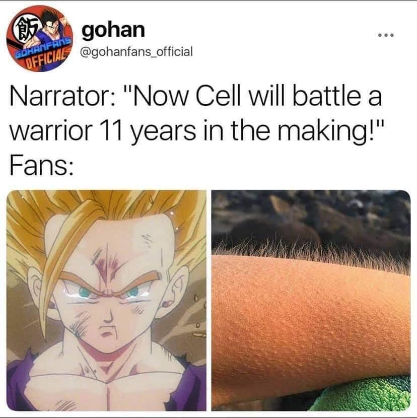 ZQ gohan ffmr gohanfans_official Narrator Now Cell will battle a warrior 11 years in the making Fans