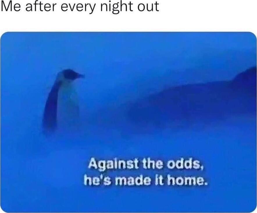 Me after every night out Against the odds hes made it home