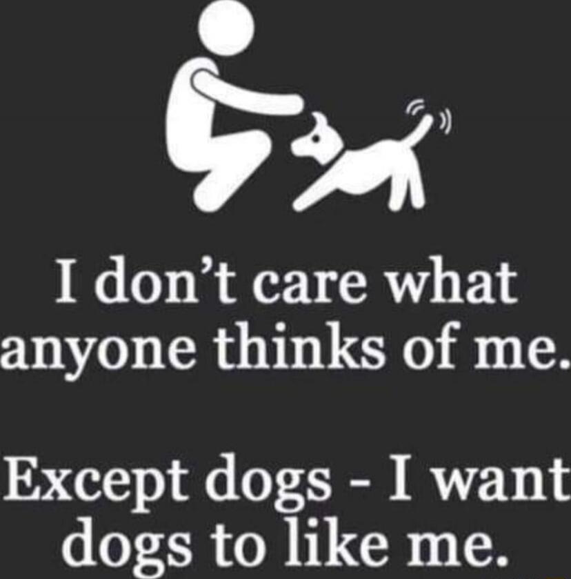 I don't care what anyone thinks of me. Except dogs - I want dogs to like me.