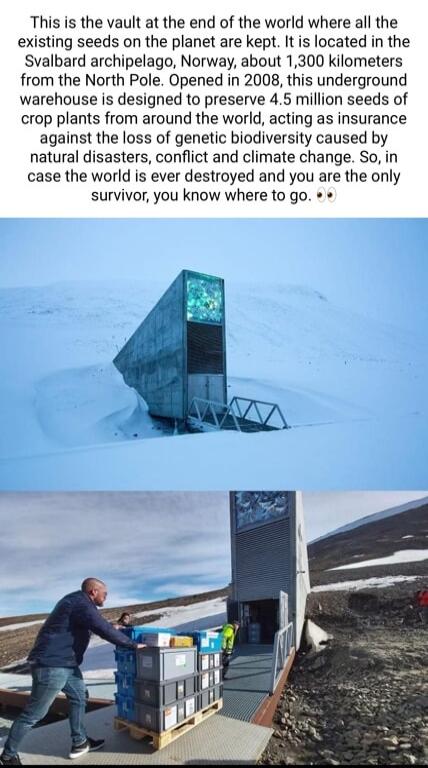 This is the vault at the end of the world where all the existing seeds on the planet are kept It is located in the Svalbard archipelago Norway about 1300 kilometers from the North Pole Opened in 2008 this underground warehouse is designed to preserve 45 million seeds of crop plants from around the world acting as insurance against the loss of genetic biodiversity caused by natural disasters confli