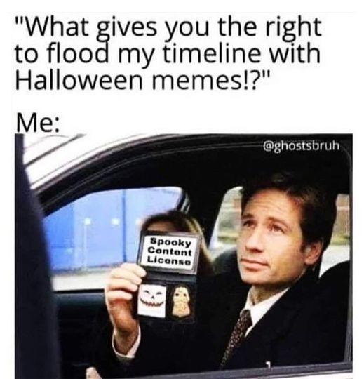 What ives you the right to flood my timeline with Halloween memes ghostsbruh
