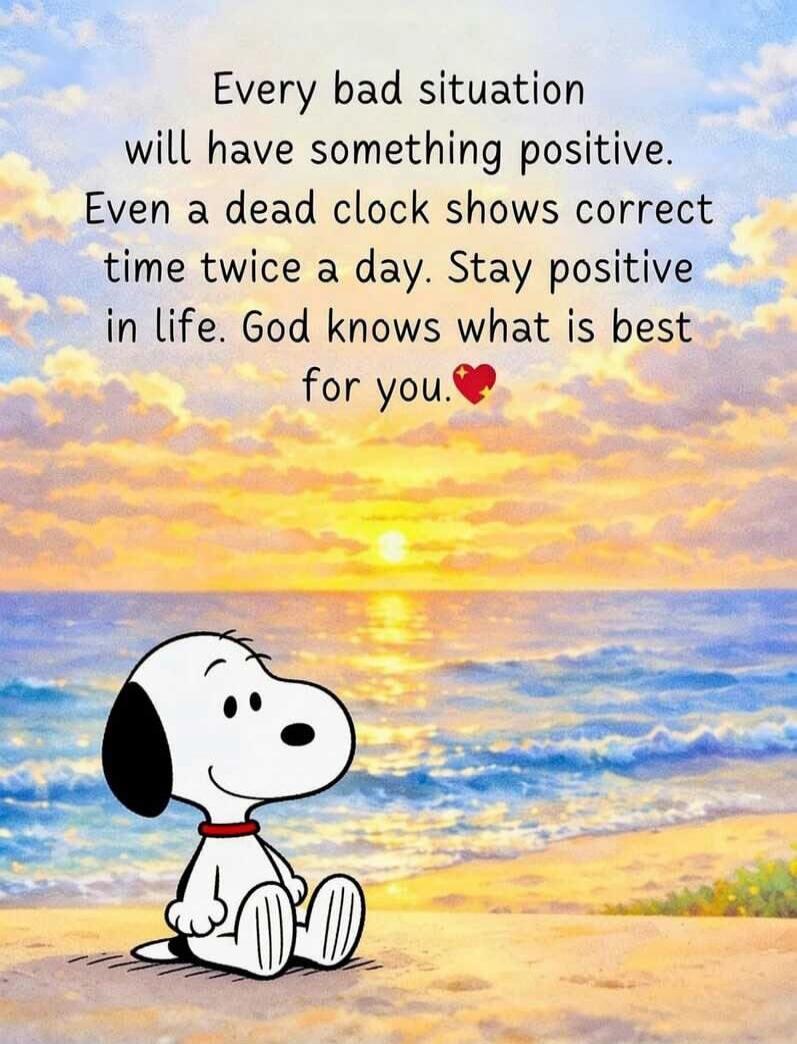 Every bad situation will have something positive. Even a dead clock shows correct time twice a day. Stay positive in life. God knows what is best for you.❤️