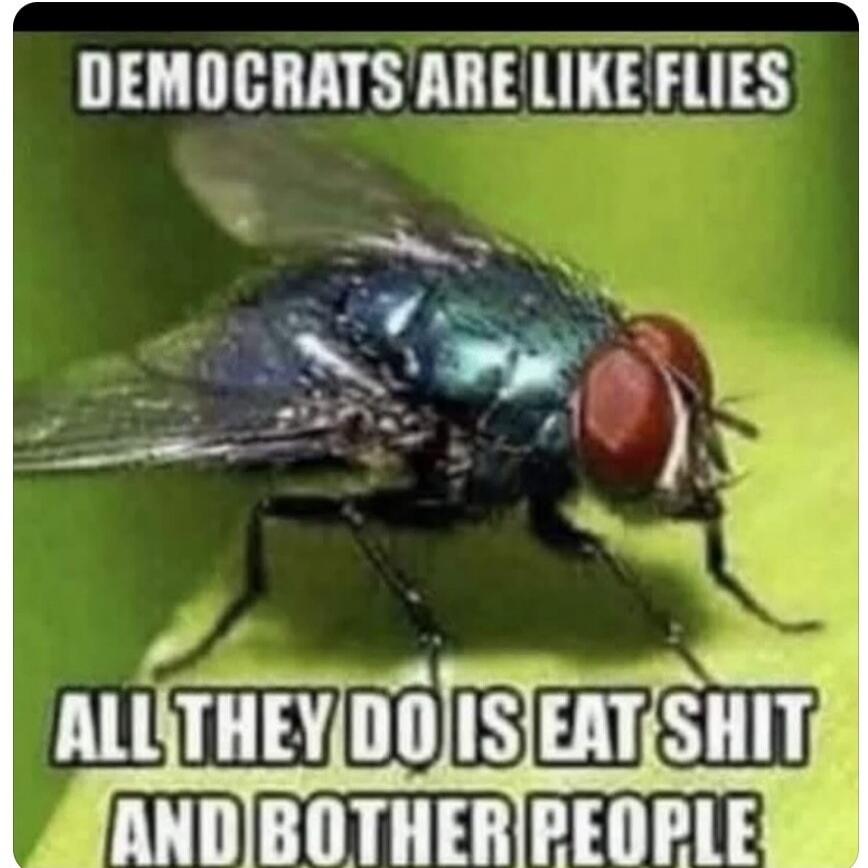 DEMOCRATS ARE LIKE FLIES ALL THEY DO IS EAT SHIT AND BOTHER PEOPLE