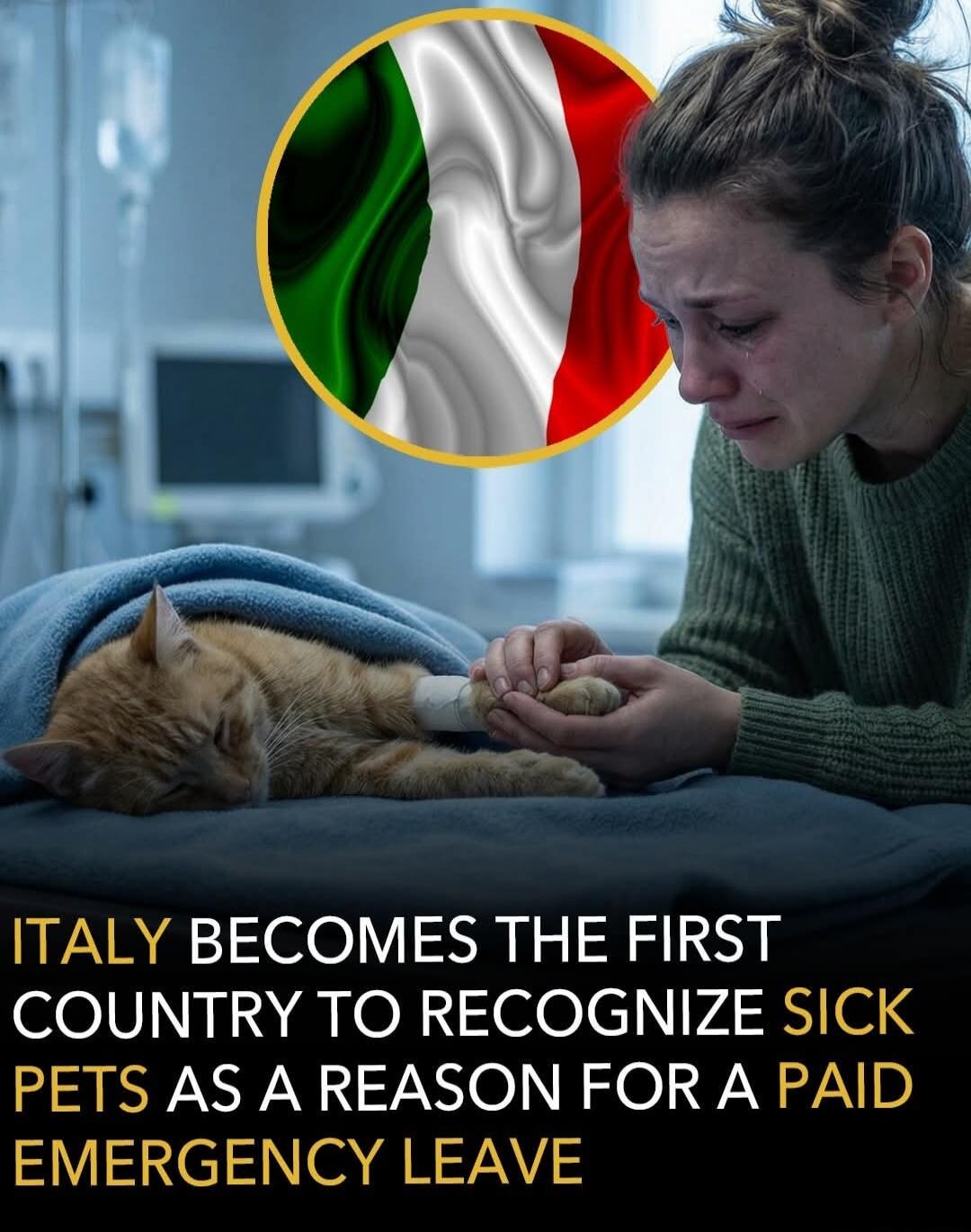 ITALY BECOMES THE FIRST COUNTRY TO RECOGNIZE SICK PETS AS A REASON FOR A PAID EMERGENCY LEAVE