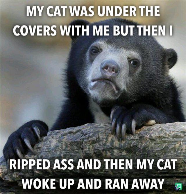 FE 0 _ RIPPED ASS AND THEN MY CAT WOKE UP AND RAN AWAY