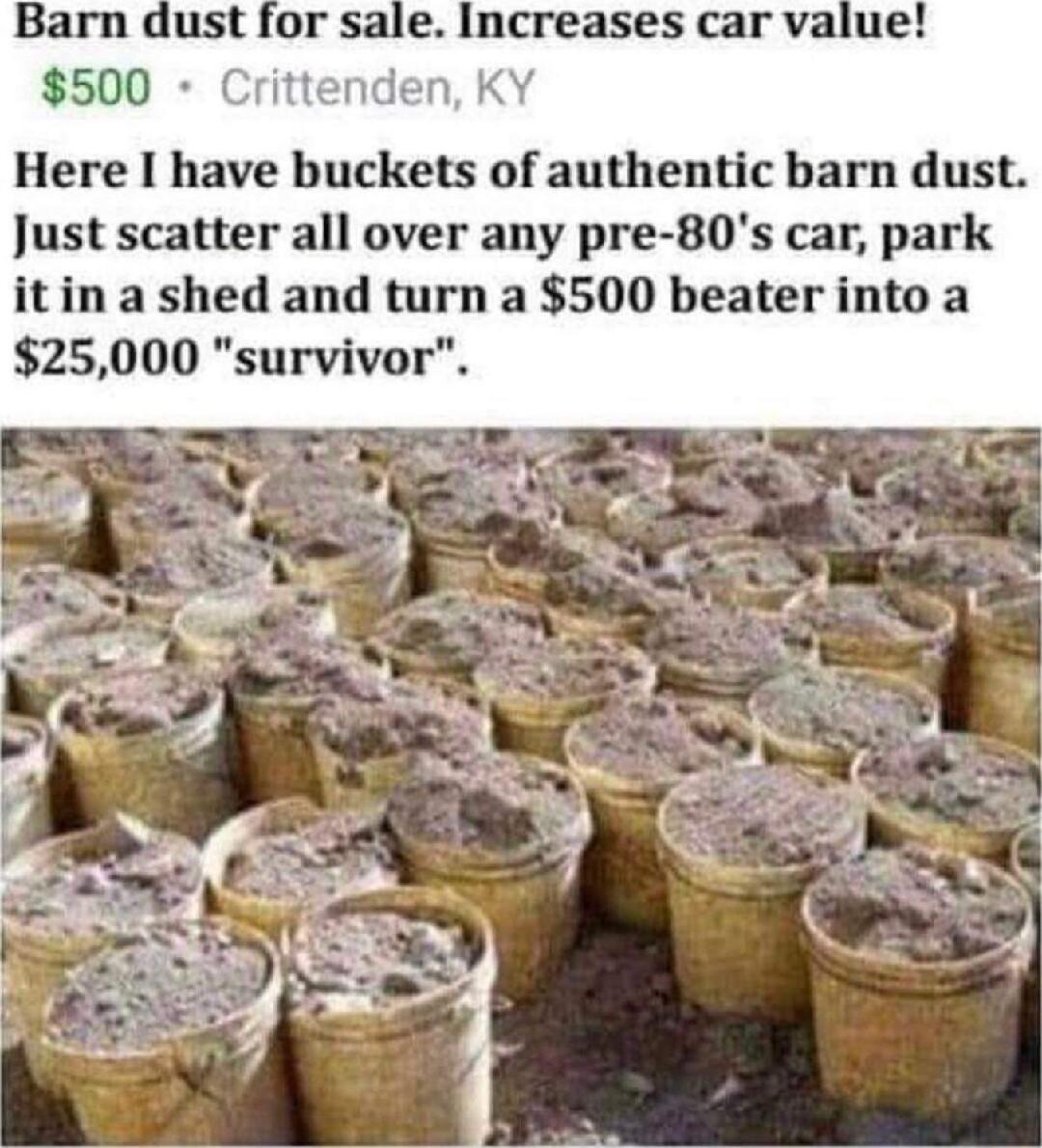 Barn dust for sale Increases car value 500 C Here I have buckets of authentic barn dust Just scatter all over any pre 80s car park itin a shed and turn a 500 beater into a 25000 survivor