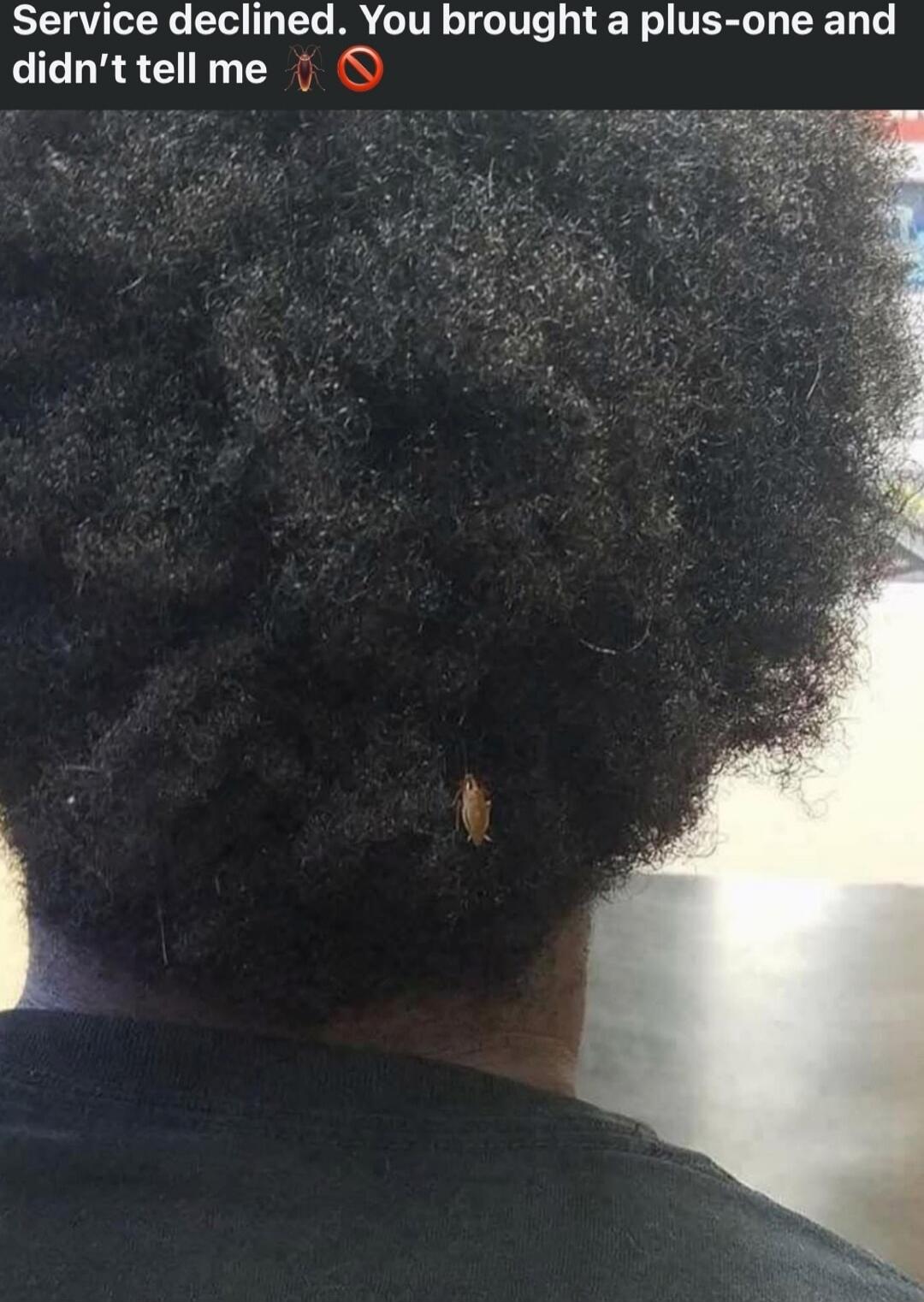 Service declined. You brought a plus-one and didn't tell me 🎉🚫