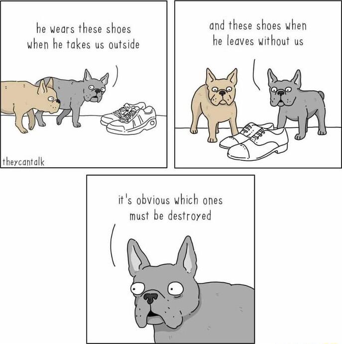 he wears these shoes when he takes us outside theycantalk and these shoes when he leaves without us its obvious which ones must be destroyed