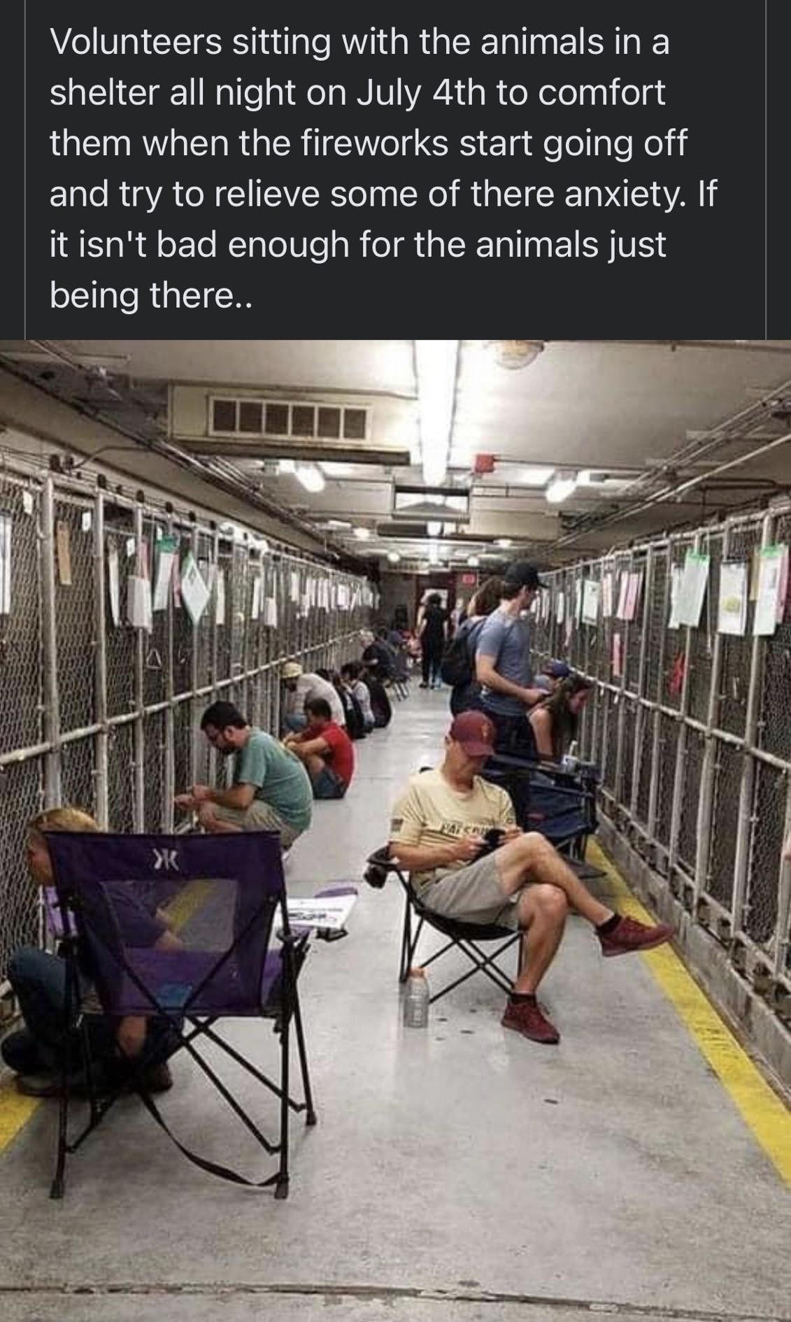 L CE i ERT T EN T Rl d Q Volunteers sitting with the animals in a shelter all night on July 4th to comfort LGE RV LR GER SIS Ela el leNeli and try to relieve some of there anxiety If itisnt bad enough for the animals just being there