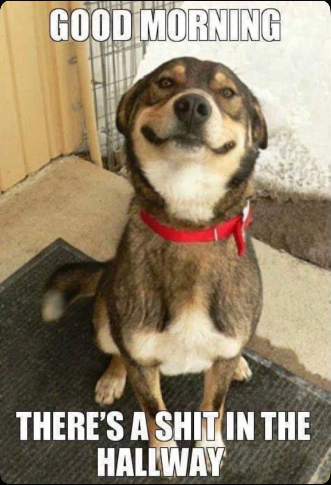 THERES A sn N THE HALLWAY